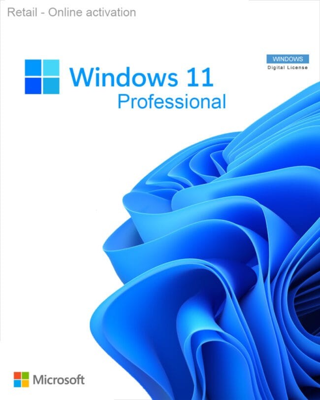 Software Windows 11 Professional [OEM] PRO