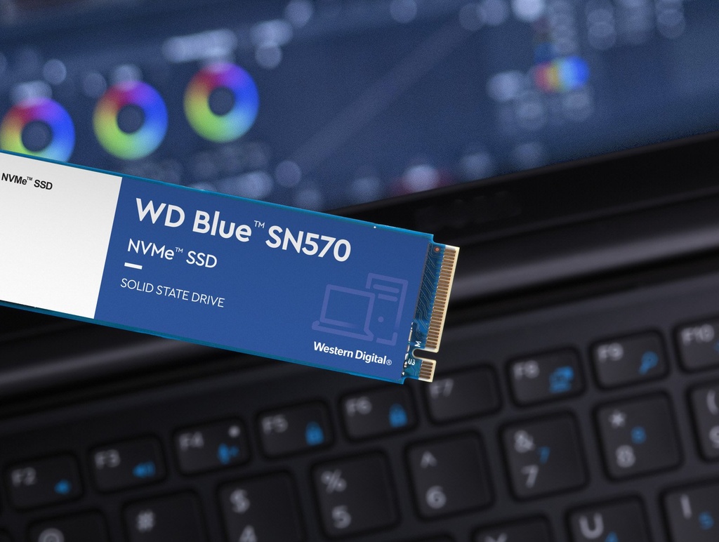 [IC7008] SSD 250GB NVNE WD Blue SN570