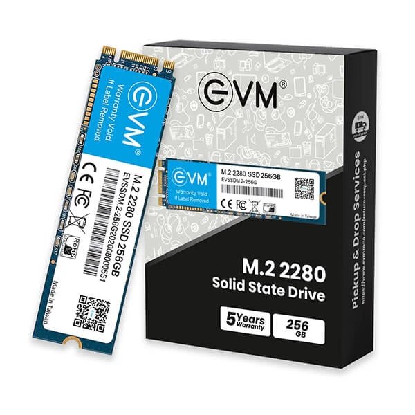 [6208] SSD 256GB M.2 EVM