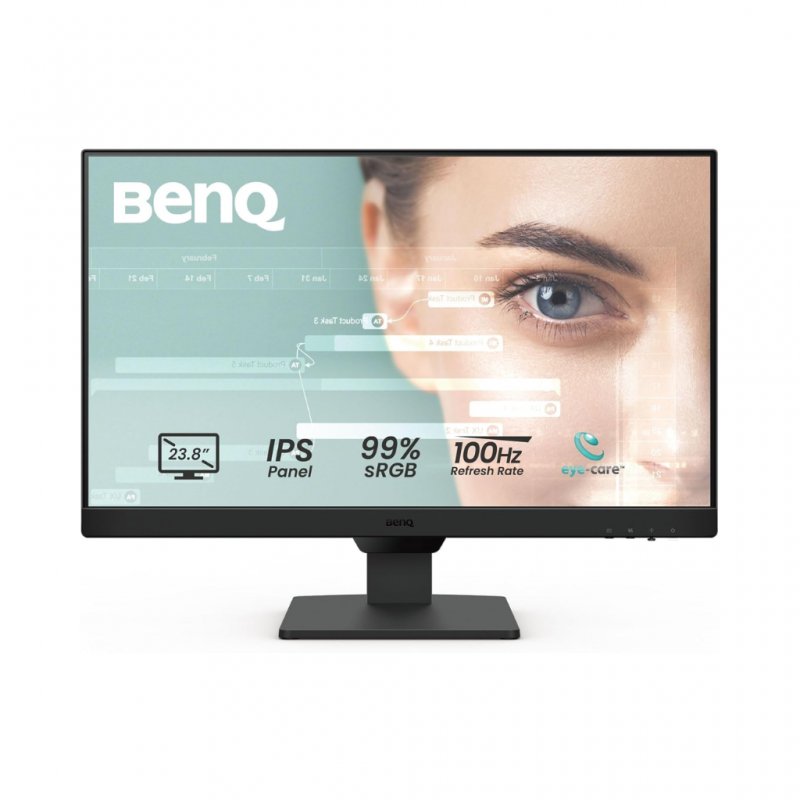 24" inch BenQ GW2491