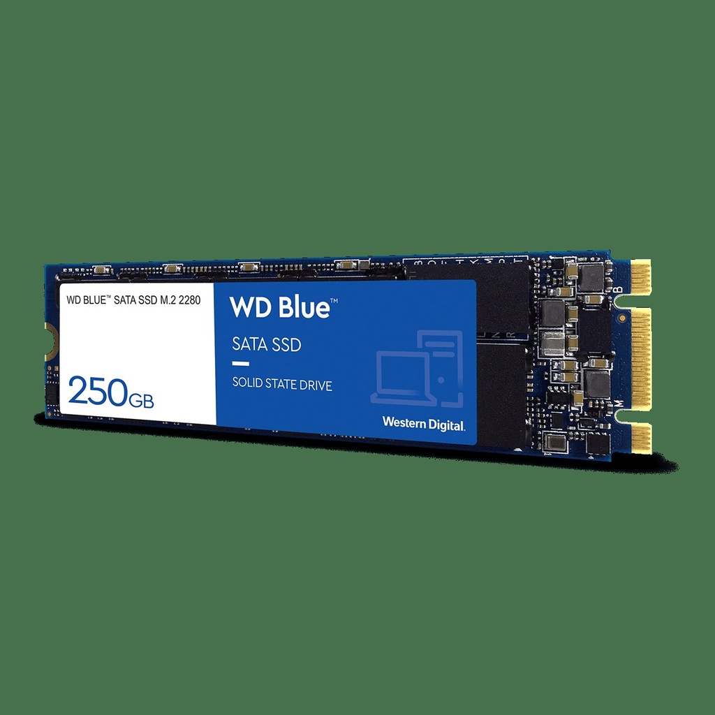 [1272] Sata SSD WD Blue (Sata) SN570 [500GB]