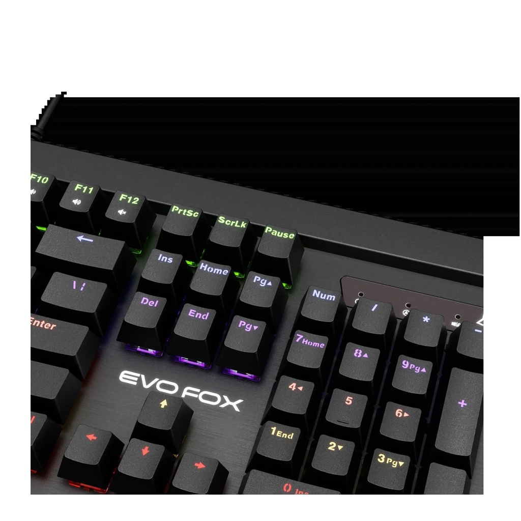 [IC9023] keyboard amkette  evofox  Katanas  WL black