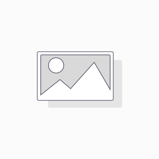 Mouse Hp X1000 USB