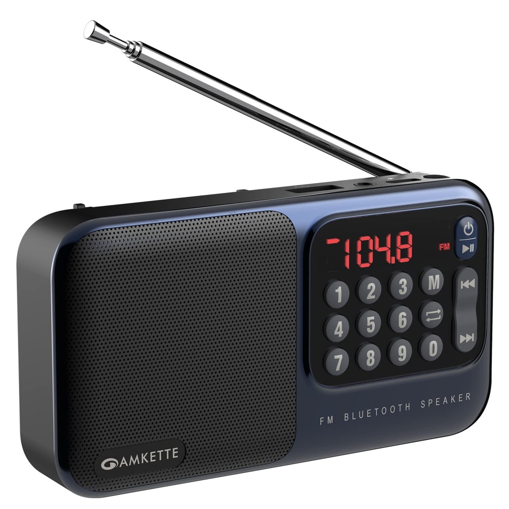 [IC7025] Pocket FM  Amkette BT Speaker